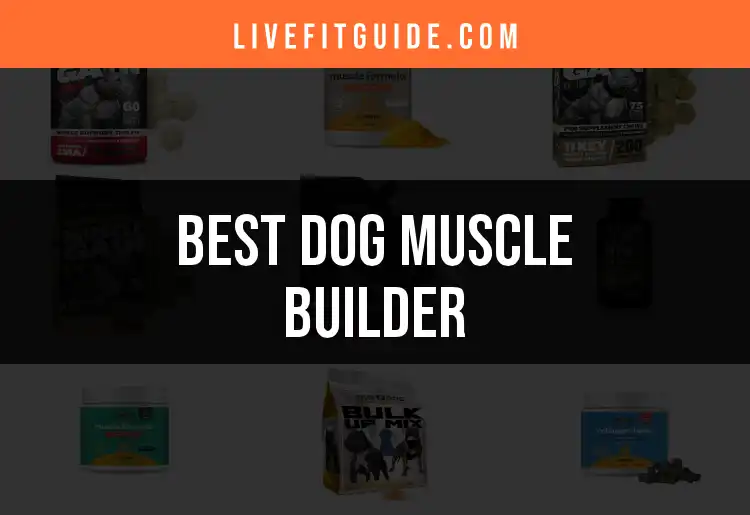 12 Top Dog Muscle Builders for a Powerhouse Pup